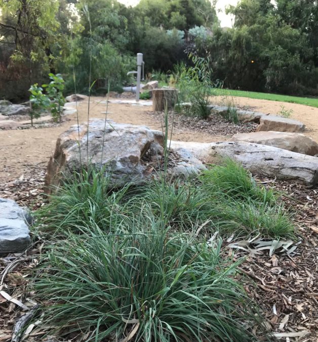 25 Jun: Planting Day