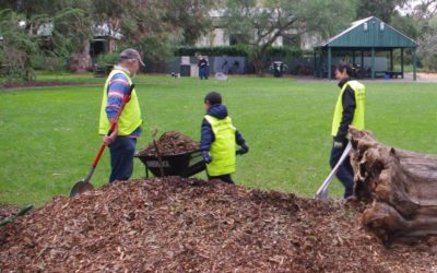 10 Nov: Working Bee 9-11am