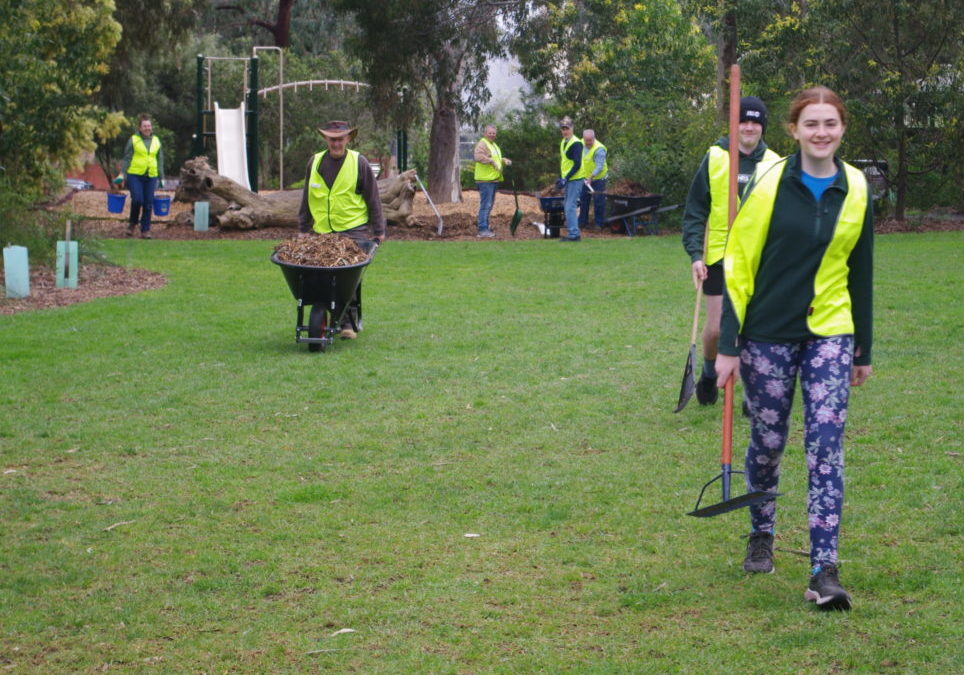 10 Dec: Borthwick Park working bee