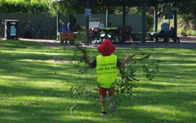 8 Dec: Borthwick Park working bee