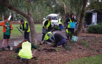 14 Jul: Plant-a-thon