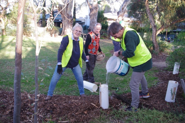 Planting Days 4 & 12 July
