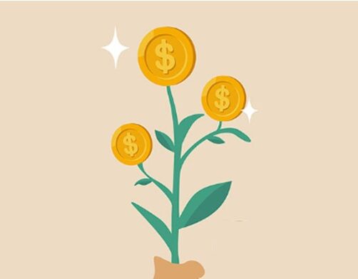 2025 Care for Kensington grants open!